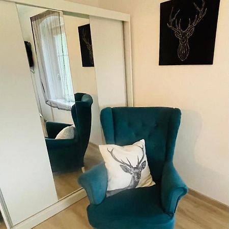 옐레니아구라 Apartament Oliwia 아파트 외부 사진